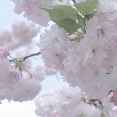 独山子福瑞交流群